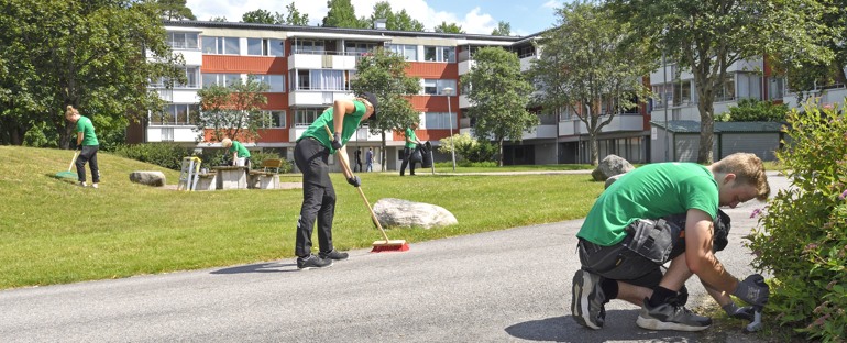 Minibovärdar på Willhem